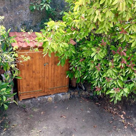 Casa Lomo Cabo Διαμέρισμα Puntallana Εξωτερικό φωτογραφία
